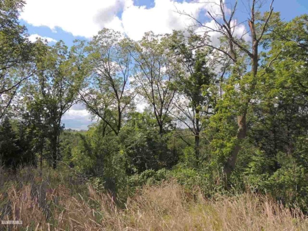Lot 68 Ryan, GALENA, Illinois 61036, ,Land,For Sale,Ryan,131961