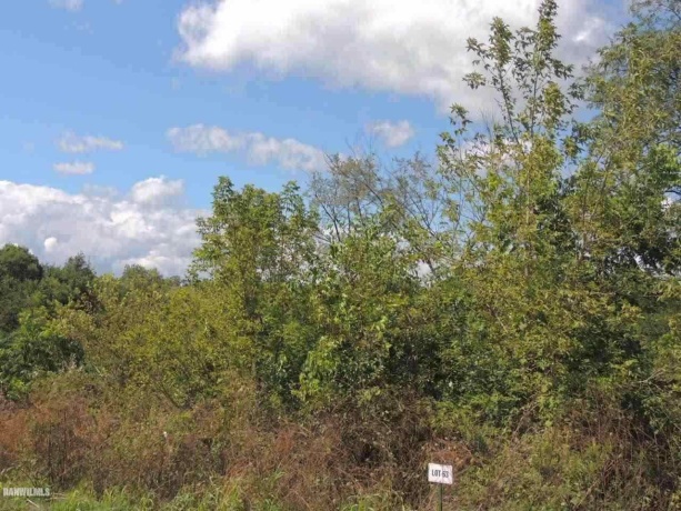 Lot 63 Sproule, GALENA, Illinois 61036, ,Land,For Sale,Sproule,131981