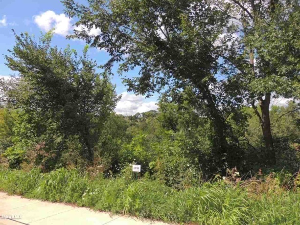 Lot 64 Sproule, GALENA, Illinois 61036, ,Land,For Sale,Sproule,131991