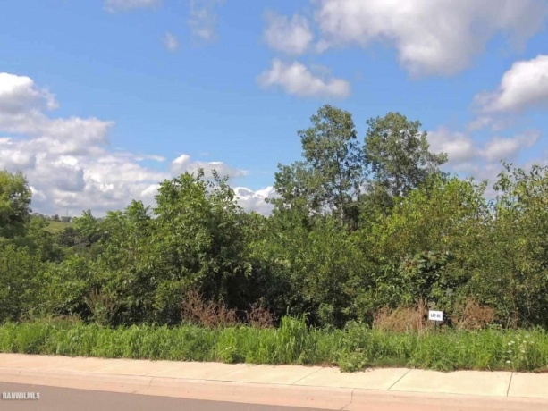 Lot 65 Sproule, GALENA, Illinois 61036, ,Land,For Sale,Sproule,132001