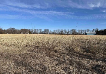 3290 Pann, SOUTH BELOIT, Illinois 61080, ,Land,For Sale,Pann,202600906