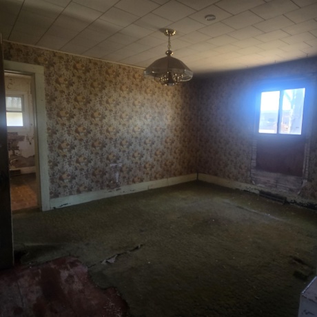 201 2nd, LEAF RIVER, Illinois 61047, 4 Bedrooms Bedrooms, ,1 BathroomBathrooms,House,For Sale,2nd,202601003