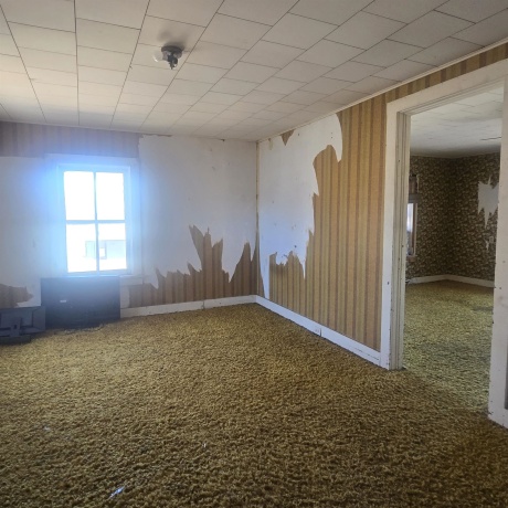 201 2nd, LEAF RIVER, Illinois 61047, 4 Bedrooms Bedrooms, ,1 BathroomBathrooms,House,For Sale,2nd,202601003