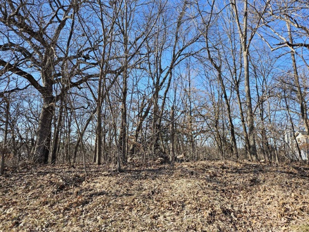 4722 Longhollow Road, GALENA, Illinois 61036, ,Land,For Sale,Longhollow Road,202601025