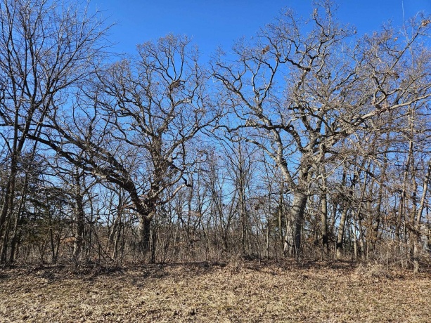 4722 Longhollow Road, GALENA, Illinois 61036, ,Land,For Sale,Longhollow Road,202601025