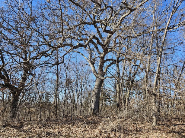 4722 Longhollow Road, GALENA, Illinois 61036, ,Land,For Sale,Longhollow Road,202601025