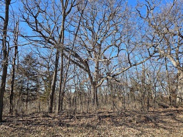 4722 Longhollow Road, GALENA, Illinois 61036, ,Land,For Sale,Longhollow Road,202601025