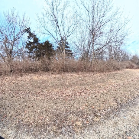 10 Wherry, Putnam, Illinois 61560, ,Land,For Sale,Wherry,202601029