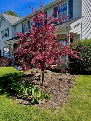 8712 Oakwood Glen, ROCKFORD, Illinois 61108, 4 Bedrooms Bedrooms, ,2 BathroomsBathrooms,House,For Sale,Oakwood Glen,202601036