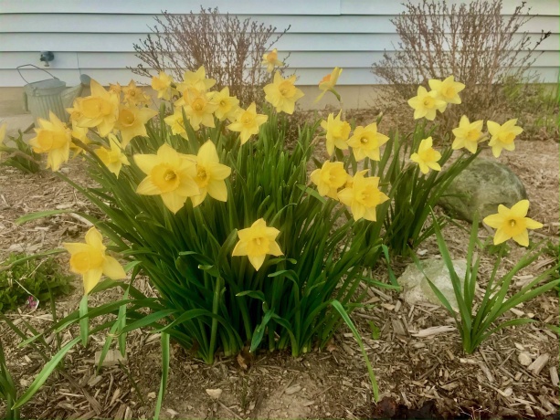 8712 Oakwood Glen, ROCKFORD, Illinois 61108, 4 Bedrooms Bedrooms, ,2 BathroomsBathrooms,House,For Sale,Oakwood Glen,202601036