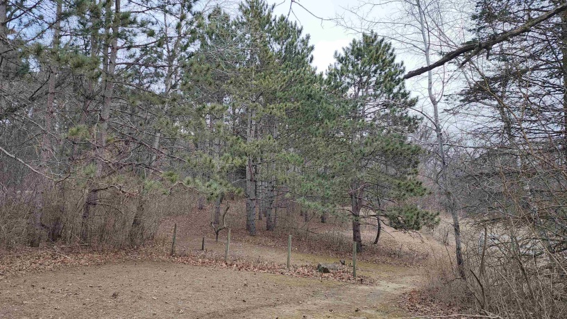 7162 Pomeroy, ROCKTON, Illinois 61072, 3 Bedrooms Bedrooms, ,2 BathroomsBathrooms,House,For Sale,Pomeroy,202600786