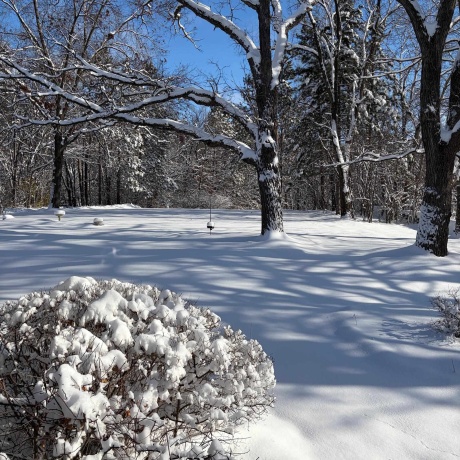 7162 Pomeroy, ROCKTON, Illinois 61072, 3 Bedrooms Bedrooms, ,2 BathroomsBathrooms,House,For Sale,Pomeroy,202600786