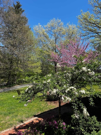 7162 Pomeroy, ROCKTON, Illinois 61072, 3 Bedrooms Bedrooms, ,2 BathroomsBathrooms,House,For Sale,Pomeroy,202600786