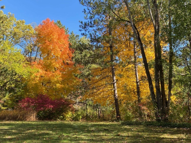 7162 Pomeroy, ROCKTON, Illinois 61072, 3 Bedrooms Bedrooms, ,2 BathroomsBathrooms,House,For Sale,Pomeroy,202600786