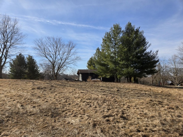9A59 Ash, APPLE RIVER, Illinois 61001, ,Land,For Sale,Ash,202601045