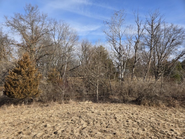 9A59 Ash, APPLE RIVER, Illinois 61001, ,Land,For Sale,Ash,202601045