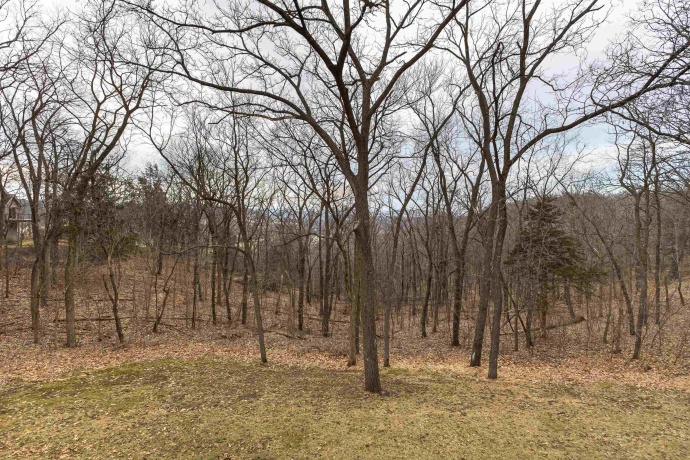 1 Westview, GALENA, Illinois 61036, 4 Bedrooms Bedrooms, ,5 BathroomsBathrooms,House,For Sale,Westview,202601059