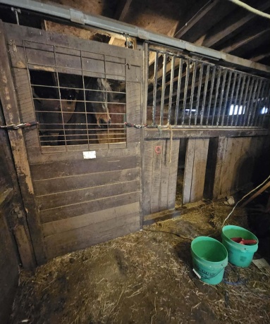 13405 state, BRODHEAD, Illinois 53520, 4 Bedrooms Bedrooms, ,1 BathroomBathrooms,House,For Sale,state,202601065