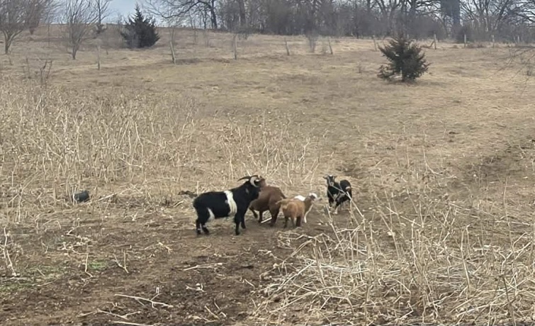 13405 state, BRODHEAD, Illinois 53520, 4 Bedrooms Bedrooms, ,1 BathroomBathrooms,House,For Sale,state,202601065