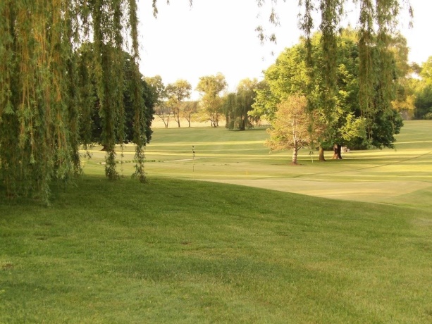 18280 IL Route 84, SAVANNA, Illinois 61074, 5 Bedrooms Bedrooms, ,2 BathroomsBathrooms,House,For Sale,IL Route 84,202601106