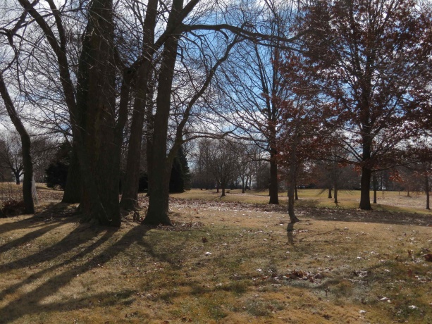 3204 Farmdale, FREEPORT, Illinois 61032, 3 Bedrooms Bedrooms, ,3 BathroomsBathrooms,House,For Sale,Farmdale,202601113