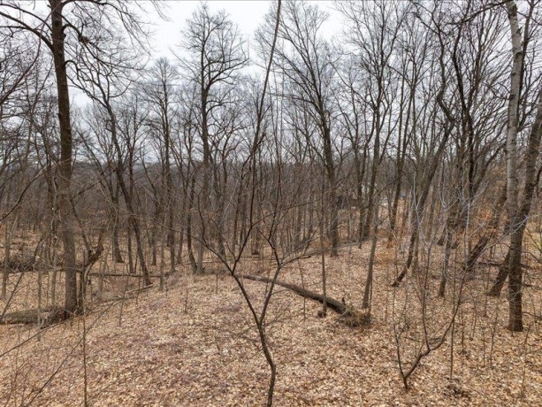 242 Blackhawk, GALENA, Illinois 61036, 4 Bedrooms Bedrooms, ,4 BathroomsBathrooms,House,For Sale,Blackhawk,202601129