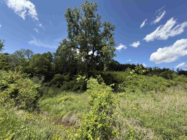 8244 Creek Crossing, GALENA, Illinois 61036, ,Land,For Sale,Creek Crossing,202601135