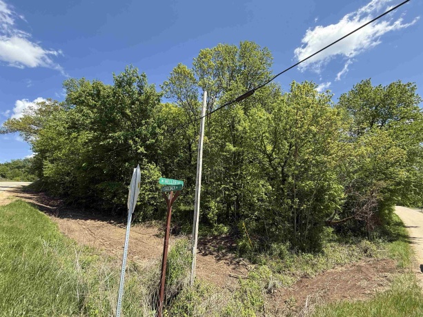 8244 Creek Crossing, GALENA, Illinois 61036, ,Land,For Sale,Creek Crossing,202601135