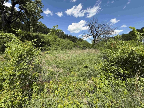 8244 Creek Crossing, GALENA, Illinois 61036, ,Land,For Sale,Creek Crossing,202601135