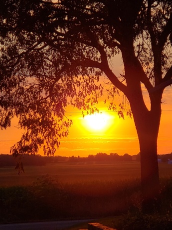 23087 Burr Oak, HARVARD, Illinois 60033, 3 Bedrooms Bedrooms, ,2 BathroomsBathrooms,House,For Sale,Burr Oak,202600648