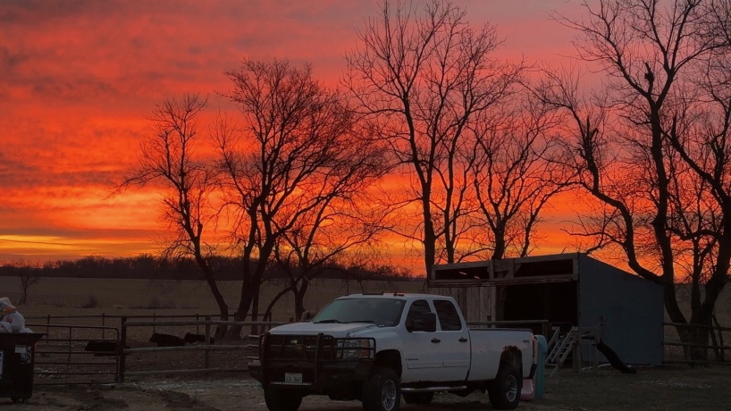 23087 Burr Oak, HARVARD, Illinois 60033, 3 Bedrooms Bedrooms, ,2 BathroomsBathrooms,House,For Sale,Burr Oak,202600648