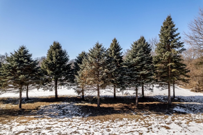 28XX Vinton, ROCKFORD, Illinois 61101, ,Land,For Sale,Vinton,202601174