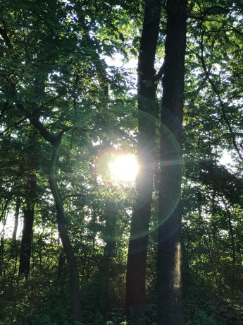 11660 Farm School, DURAND, Illinois 61024, 4 Bedrooms Bedrooms, ,2 BathroomsBathrooms,House,For Sale,Farm School,202601171