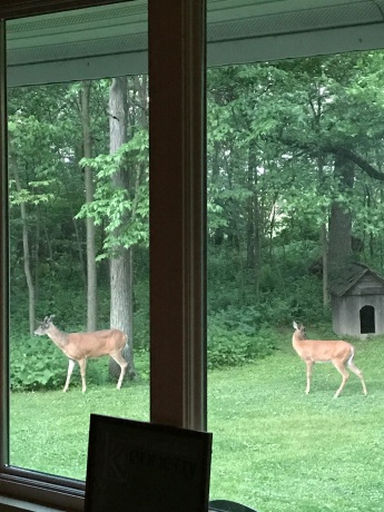 11660 Farm School, DURAND, Illinois 61024, 4 Bedrooms Bedrooms, ,2 BathroomsBathrooms,House,For Sale,Farm School,202601171