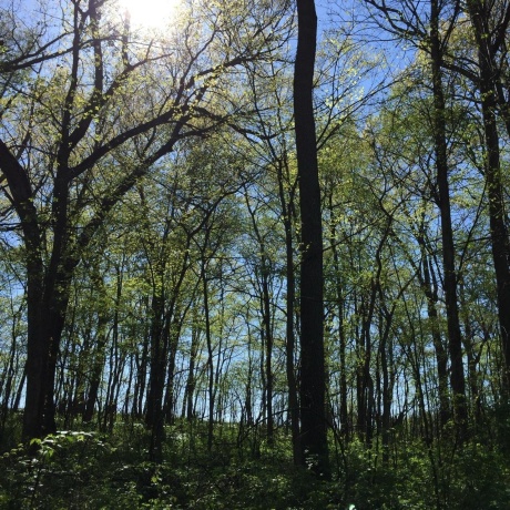 11660 Farm School, DURAND, Illinois 61024, 4 Bedrooms Bedrooms, ,2 BathroomsBathrooms,House,For Sale,Farm School,202601171