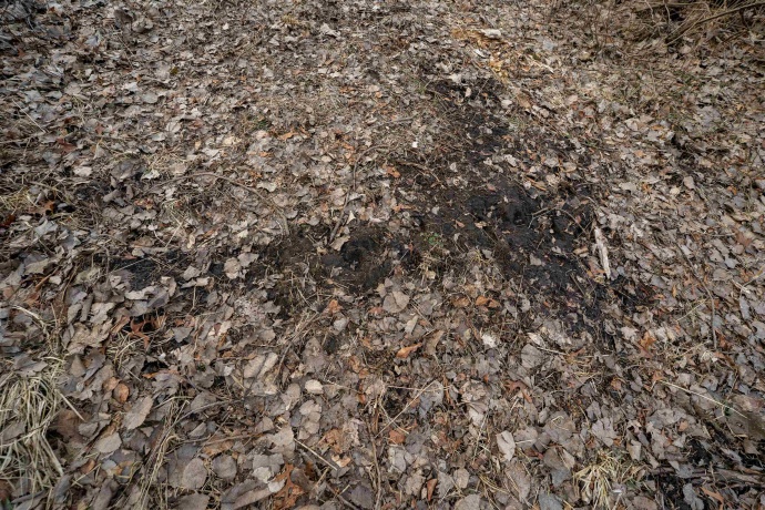 1459 Briar Knoll, AMBOY, Illinois 61310, 2 Bedrooms Bedrooms, ,1 BathroomBathrooms,House,For Sale,Briar Knoll,202601187