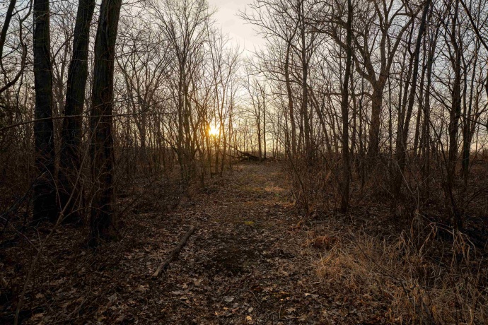 1459 Briar Knoll, AMBOY, Illinois 61310, 2 Bedrooms Bedrooms, ,1 BathroomBathrooms,House,For Sale,Briar Knoll,202601187