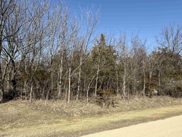 23 High Ridge, GALENA, Illinois 61036, ,Land,For Sale,High Ridge,202601190