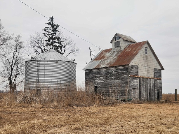 1850 DAYSVILLE, FRANKLIN GROVE, Illinois 61031, ,Land,For Sale,DAYSVILLE,202601200