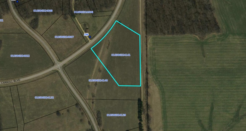 24-141 Lake Carroll, LAKE CARROLL, Illinois 61046, ,Land,For Sale,Lake Carroll,202601217