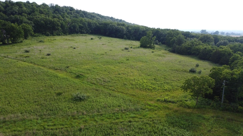 TBD Guilford Rd, GALENA, Illinois 61036, ,Land,For Sale,Guilford Rd,202601224