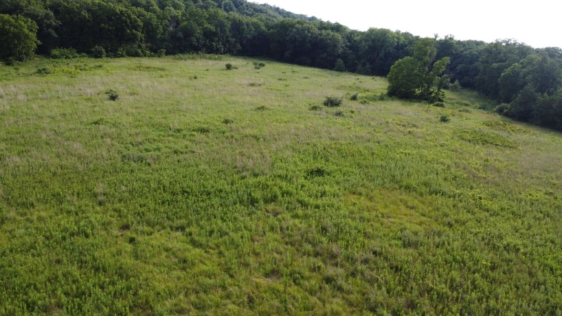 TBD Guilford Rd, GALENA, Illinois 61036, ,Land,For Sale,Guilford Rd,202601224