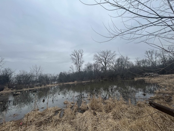 235 QUINCY, SCHAUMBURG, Illinois 60193, 4 Bedrooms Bedrooms, ,2 BathroomsBathrooms,House,For Sale,QUINCY,202601248