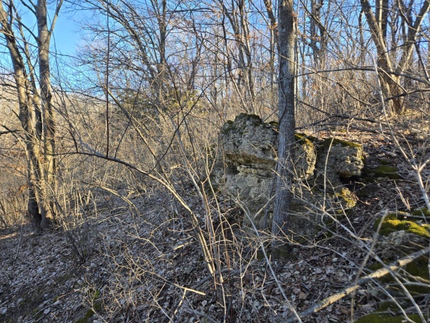 5A59 Council Fire, APPLE RIVER, Illinois 61001, ,Land,For Sale,Council Fire,202601250