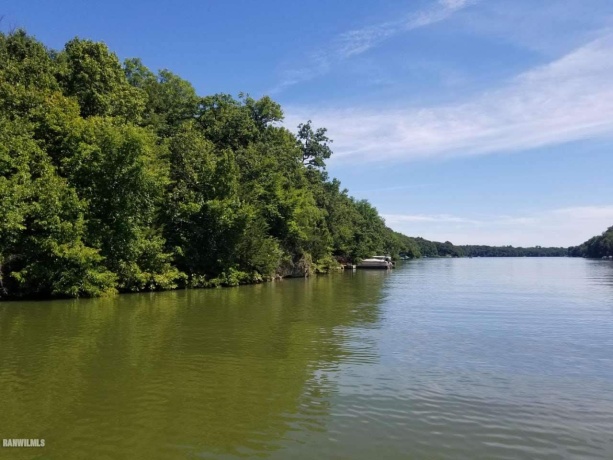 5A59 Council Fire, APPLE RIVER, Illinois 61001, ,Land,For Sale,Council Fire,202601250