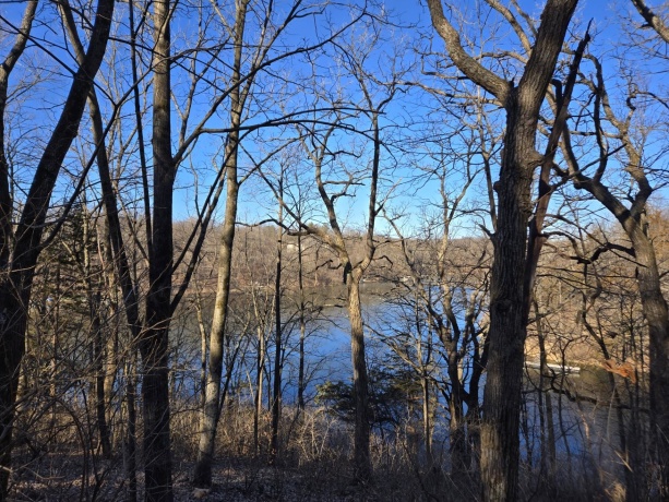 5A59 Council Fire, APPLE RIVER, Illinois 61001, ,Land,For Sale,Council Fire,202601250