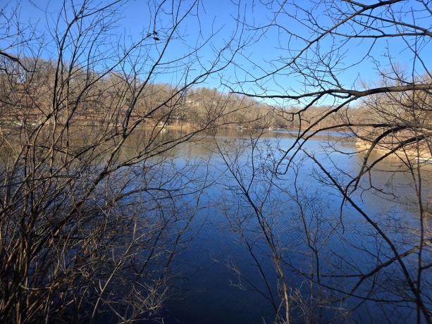 5A59 Council Fire, APPLE RIVER, Illinois 61001, ,Land,For Sale,Council Fire,202601250