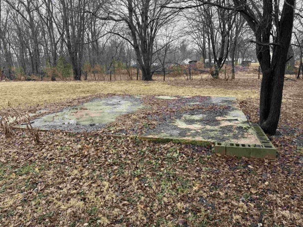 501 Alberts, ROCKFORD, Illinois 61102, 2 Bedrooms Bedrooms, ,1 BathroomBathrooms,House,For Sale,Alberts,202601252