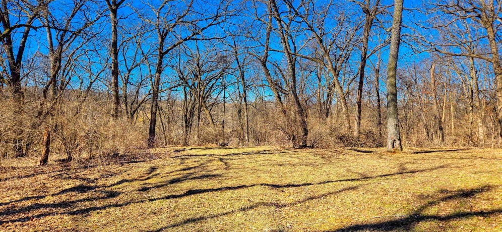 22-2 Lakewood, LAKE CARROLL, Illinois 61046, ,Land,For Sale,Lakewood,202601265