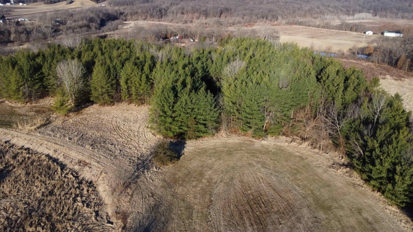 44.78 Acres +/- TBD S. Crazy Hollow, HANOVER, Illinois 61041, ,Land,For Sale,TBD S. Crazy Hollow,202601269